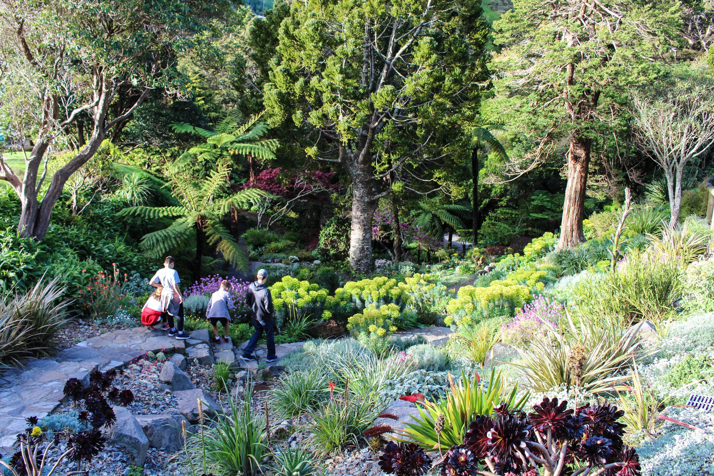 family-botanical-garden-1-of-1