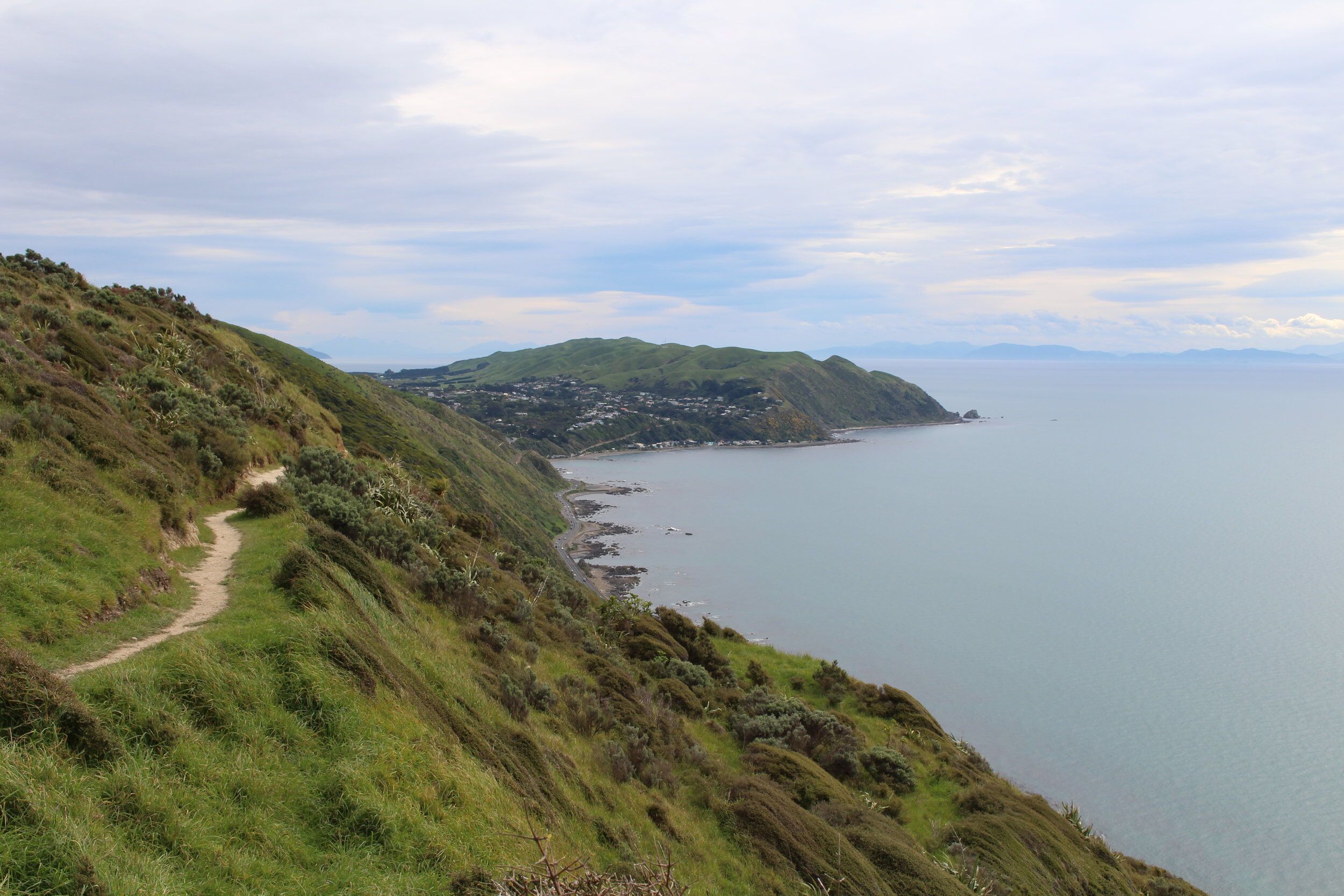kapiti-11