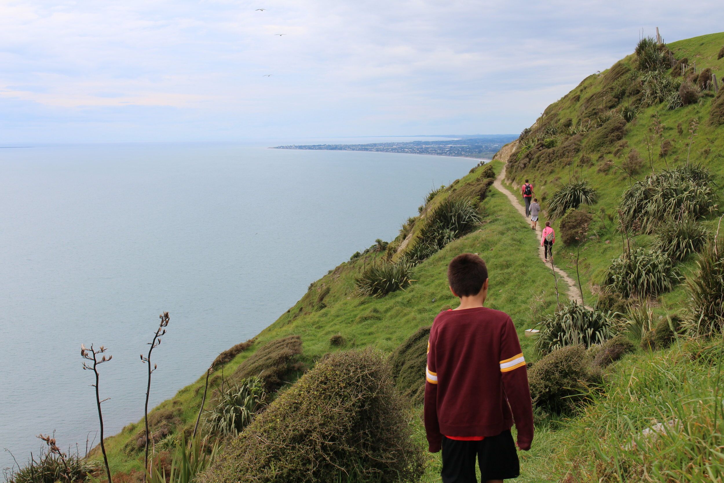 kapiti-12
