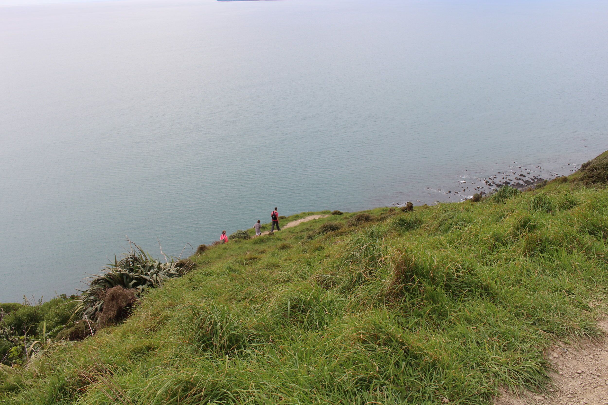 kapiti-14