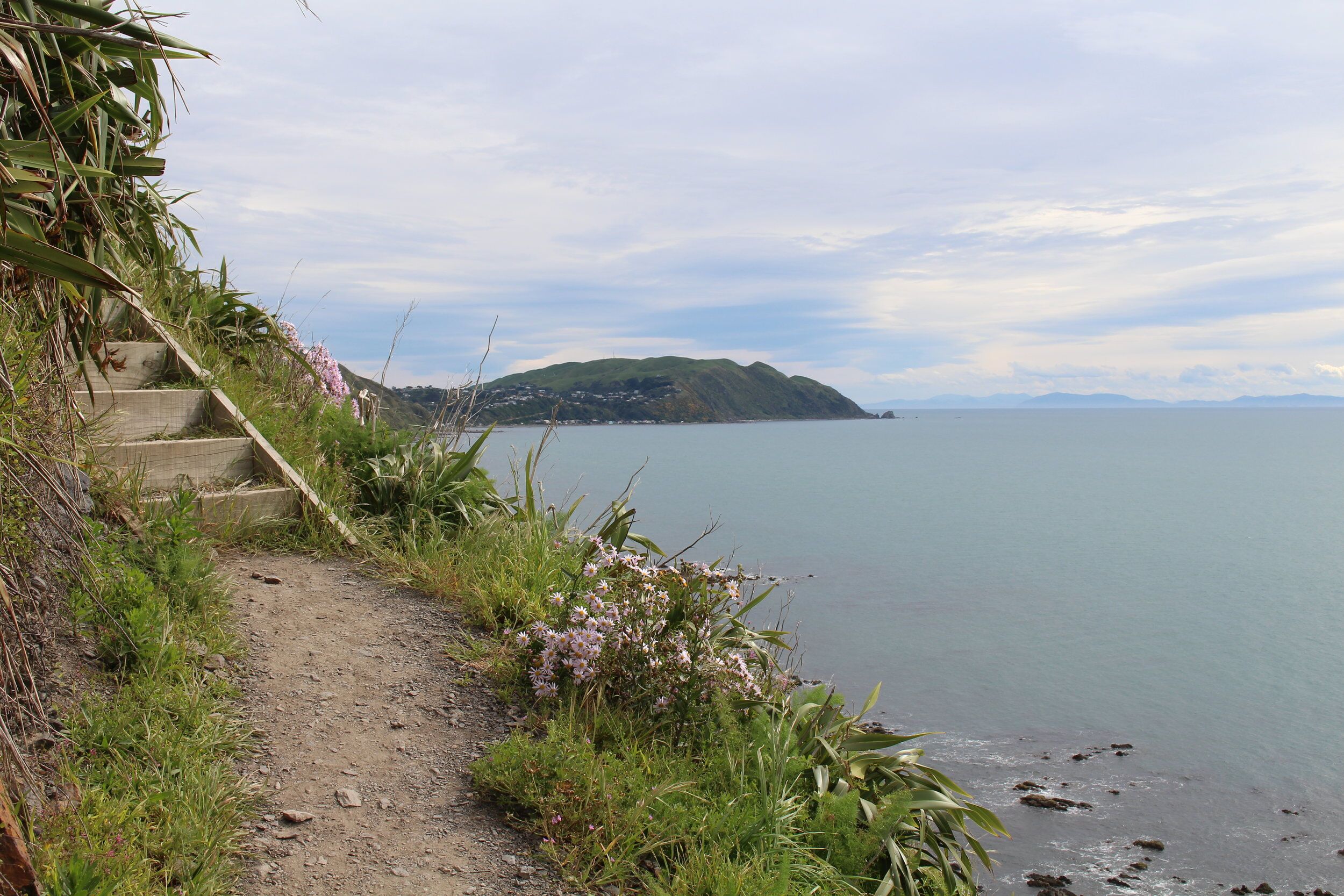 kapiti-8