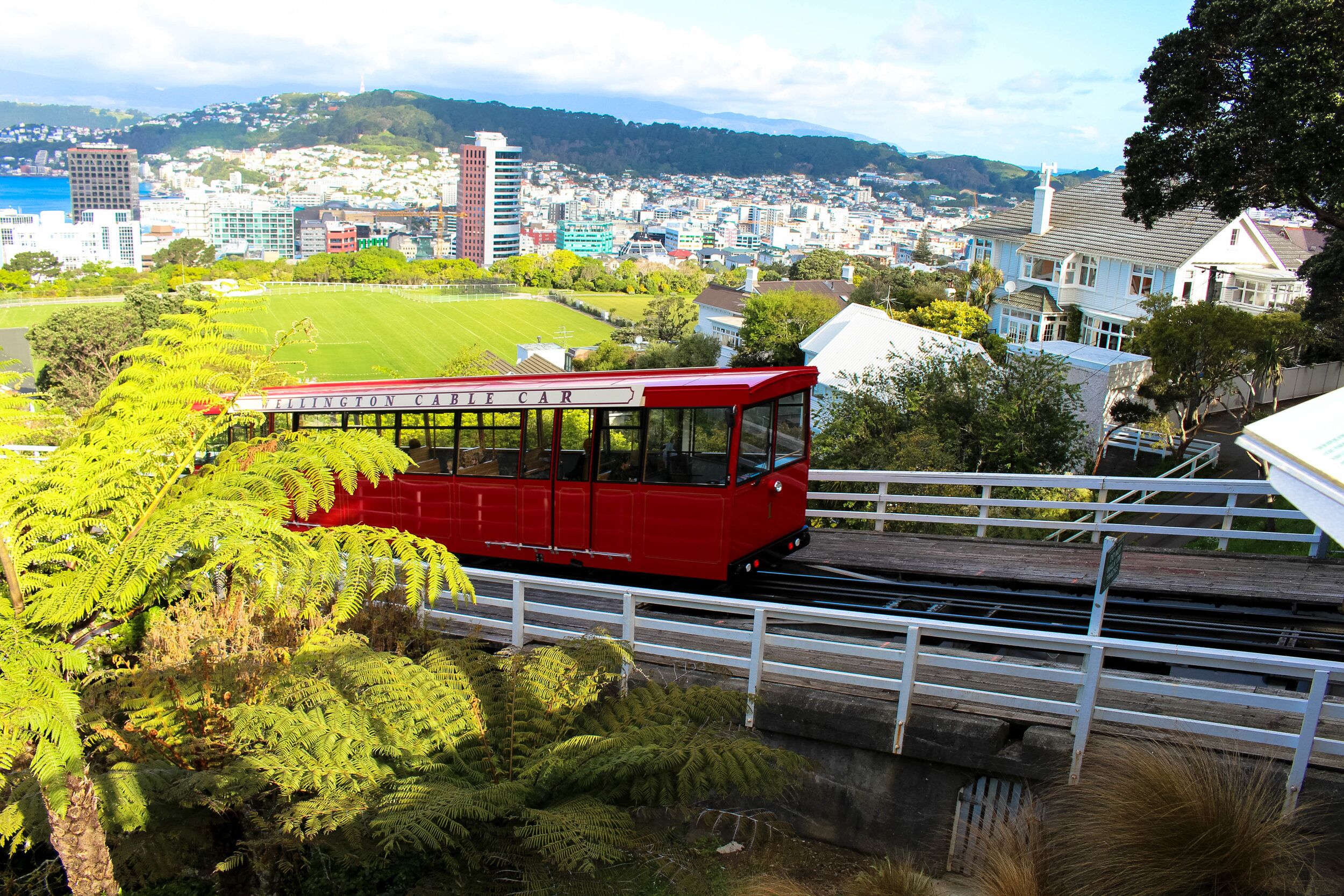 untitled-1-of-1-trolley