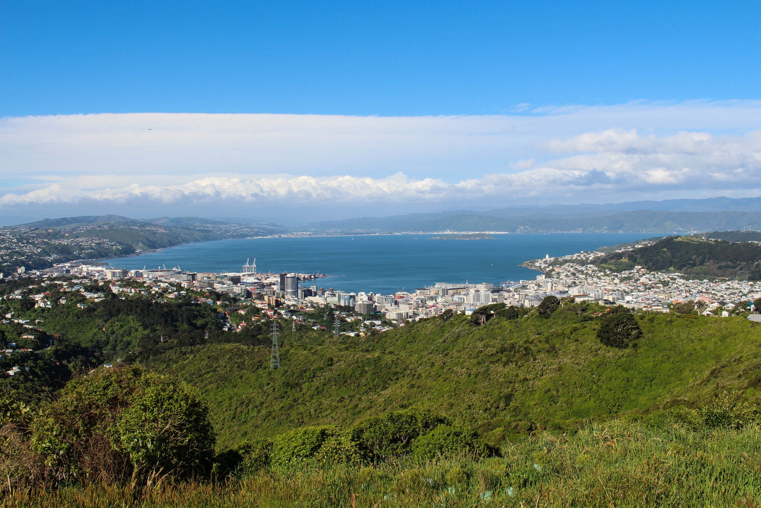 wellington-view-wind-t-1-of-1.jpg