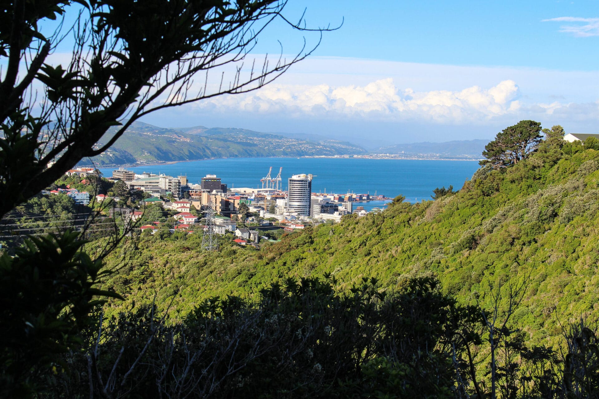 wellington-view-wind-t2-1-of-11.jpg