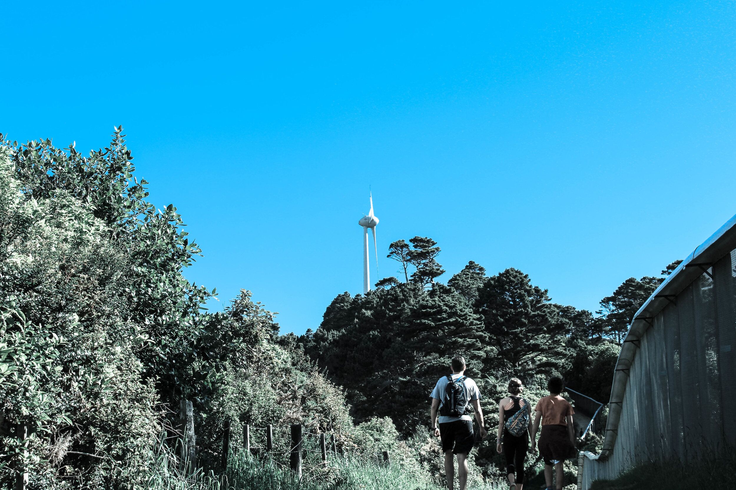 wind-turbine-kids-1-of-1.jpg